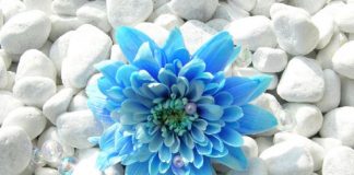 Essayez de considérer la période actuelle comme une pause plutôt que comme un problème